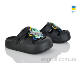 Кроксы Golden Lion